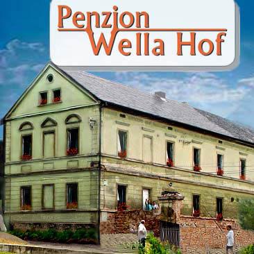 Foto - Accommodation in Očihov - Penzion Wella Hof