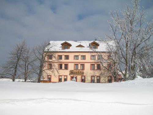 Foto - Accommodation in Teplice - Hotel Santén