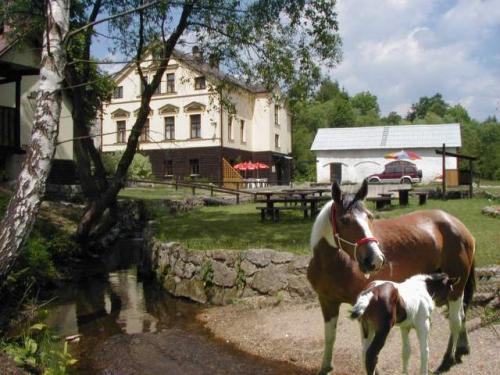 Foto - Accommodation in Lučany nad Nisou - Pension a ranč U potoka