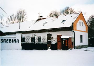 Foto - Accommodation in Drahobudice 22 - Pension Brebina