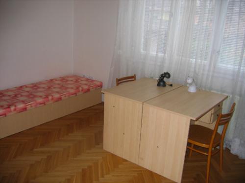 Foto - Accommodation in Poděbrady - Pension Ticha