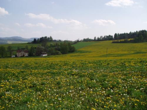 Foto - Accommodation in Čkyně - Penzion a chata Na Vápence