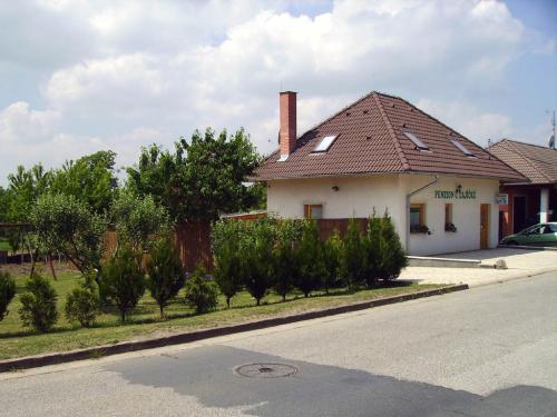 Foto - Accommodation in Dolní Dunajovice - Penzion u Zajíčků