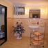 Foto Accommodation in Milovice u Mikulova - Ubytování Milovice u Mikulova - Blahová Dana