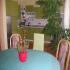 Foto Accommodation in Milovice u Mikulova - Ubytování Milovice u Mikulova - Blahová Dana