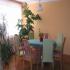 Foto Accommodation in Milovice u Mikulova - Ubytování Milovice u Mikulova - Blahová Dana