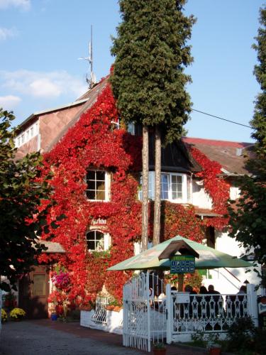 Foto - Accommodation in Mariánské Lázně - Penzion Villa Marion