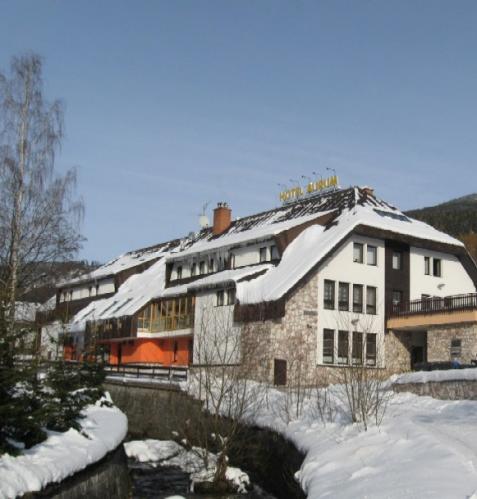 Foto - Accommodation in Černý Důl - Hotel Aurum - Hotel for families