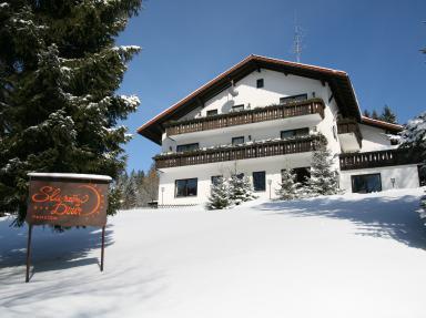 Foto - Accommodation in Bayerisch Eisenstein - Penzion Sluneční Dvůr