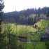 Foto Accommodation in Vacov - Penzion u Doulů Mlýny