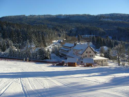 Foto - Accommodation in Kubova Huť - Hotel Kuba