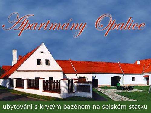 Foto - Accommodation in Kamenný Újezd - Apartments Opalice | accommodation in a rustic farmhouse