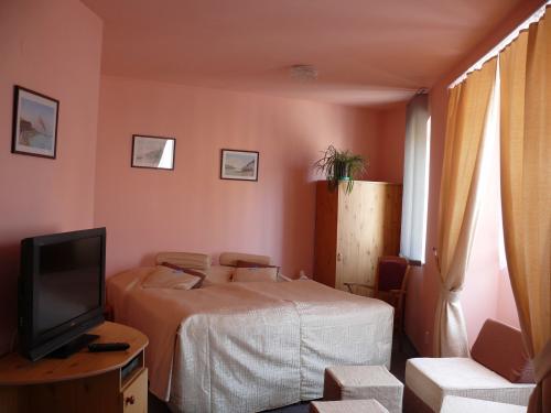Foto - Accommodation in Telč - Hotel Pangea