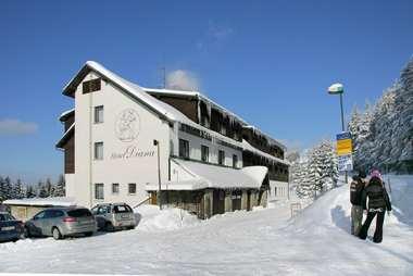 Foto - Accommodation in Benecko - hotel Diana ***