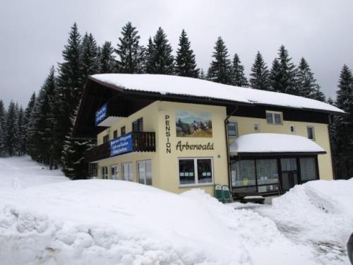 Foto - Accommodation in Bayerisch Eisenstein - Pension Arberwald