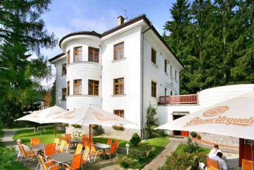 Foto - Accommodation in Špindlerův Mlýn - Hotel Bedřiška