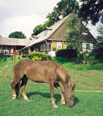 Foto - Accommodation in Vrchlabí - KNĚŽICKÁ CHALUPA