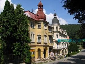 Foto - Accommodation in Luhačovice - Luhačovice-vila Taťána