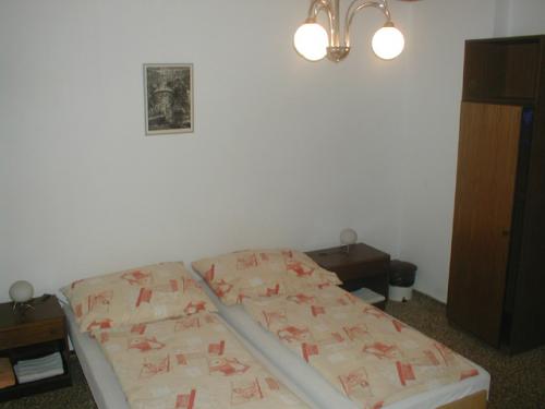 Foto - Accommodation in Praha - Pension Iva
